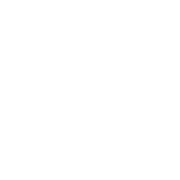 Ca web mds icon white